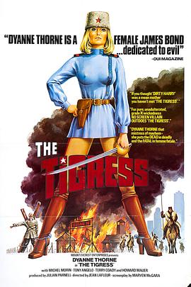 网站内容优化方案执行