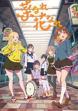 怀柔seo优化厂家